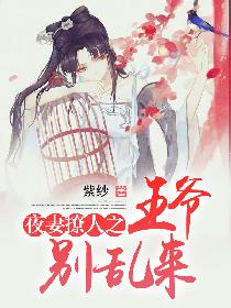 王爷别乱来 寒墨夜_夜妻撩人之王爷别乱来