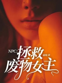 男主女主是吴世安,王琳凯,陈立农的小说是什么_NPC：拯救废物女主