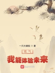 男主女主是郑鸣,孙亦平,白雨微的小说是什么_炼气：我能体验未来
