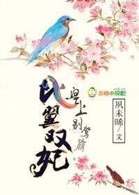 男主女主是乔湘雨,小景子,景子的小说是什么_比翼双妃，皇上别驾崩