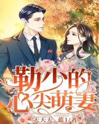 男主女主是靳斯辰,萧锦妍,安又琳的小说是什么_勒少的心尖萌妻