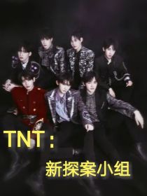 新探案txt_TNT：新探案小组