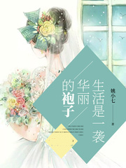 男主女主是赵琳,肖艺华,昊明的小说是什么_生活是一袭华丽的袍子