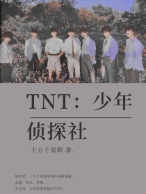 小说《TNT：少年侦探社》TXT百度云_TNT：少年侦探社