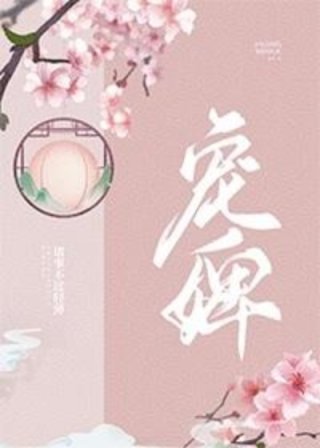 小说《宠婢》TXT百度云_宠婢