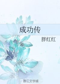 小说《成功传》TXT下载_成功传