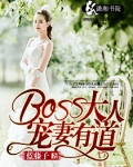 男主女主是凌霄,杨瑾维,温立涛的小说是什么_BOSS大人宠妻有道