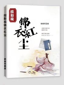 男主女主是张磊,甄辛,薛平平的小说是什么_综影视：锦衣红尘