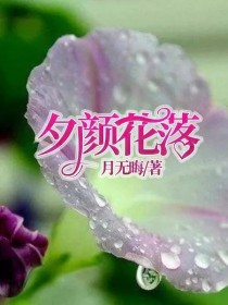 花夕颜小说免费阅读_夕颜花落