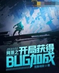 小说《网游之开局获得bug加成》TXT百度云_网游之开局获得bug加成