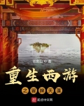 男主女主是朱琦,天蓬,九灵元的小说是什么_重生西游之冒牌天蓬