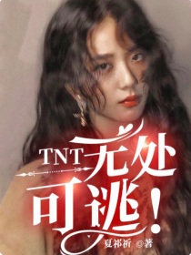 小说《TNT：无处可逃！》TXT百度云_TNT：无处可逃！