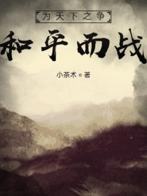 小说《天下之争：和平而战》TXT下载_天下之争：和平而战