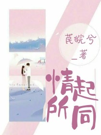 君楠安郑辰逸《情起所同》_情起所同