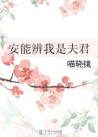 小说《安能辨我是夫君》TXT下载_安能辨我是夫君