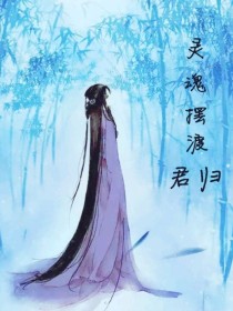 男主女主是冬青,周晓辉,木兰的小说是什么_灵魂摆渡之君归