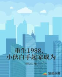 男主女主是许三强,欧兰,刘若云的小说是什么_重生1988，小伙白手起家成为
