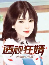 都市透视上门女婿_都市透视狂婿