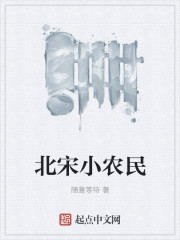 范一航秦墨《北宋小农民》_北宋小农民