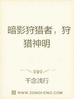 男主女主是刘枫,张昊,思思的小说是什么_暗影狩猎者，狩猎神明