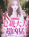 小说《萌宝攻略：总裁大人超凶猛》TXT下载_萌宝攻略：总裁大人超凶猛