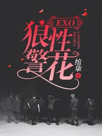 男主女主是边伯贤,吴世勋,朴灿烈的小说是什么_EXO：狼性警花