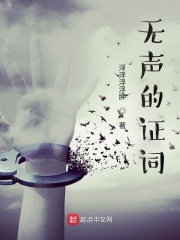 男主女主是吴智辉,黄捷,郑雅月的小说是什么_无声的证词