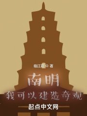 我要建造奇观小说_南明：我可以建造奇观