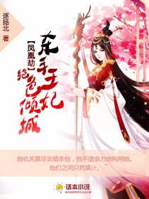 小说《凤凰劫：杀手王妃绝色倾城》TXT百度云_凤凰劫：杀手王妃绝色倾城