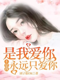 男主女主是魏晨宇,梁文彦,罗夏雨的小说是什么_是我爱你，不是我永远只爱你