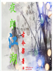 男主女主是李向东,石天辉,王锦鸿的小说是什么_夜郎江湖