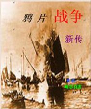 男主女主是赵亮,李海龙,陈东彪的小说是什么_鸦片战争新传