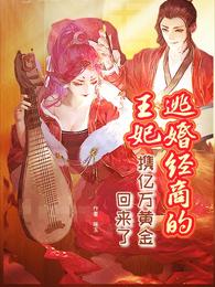 男主女主是林若男,赵玉,林若的小说是什么_逃婚经商的王妃携亿万黄金回来了