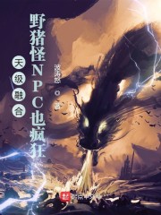 小说《天级融合：野猪怪NPC也疯狂》TXT百度云_天级融合：野猪怪NPC也疯狂