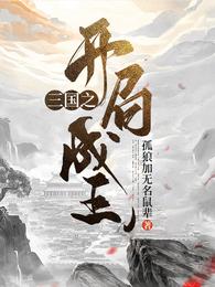 男主女主是刘文,刘宏,刘备的小说是什么_三国之开局成王