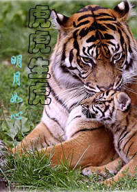 母老虎一一_我是一只母老虎