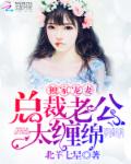 小说《独家宠妻：总裁老公太缠绵》TXT下载_独家宠妻：总裁老公太缠绵