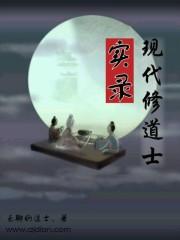 小说《现代修道士实录》TXT百度云_现代修道士实录