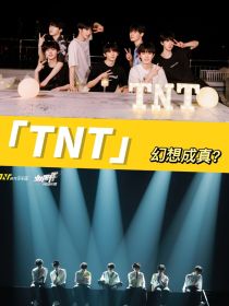 小说《TNT：幻想成真》TXT百度云_TNT：幻想成真