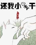 [穿越重生]《还我小鱼干[星际]》作者：人间观众【完结】简介:流浪幼猫魂穿到星际时代，庆幸自己还是个_还我小鱼干[星际]