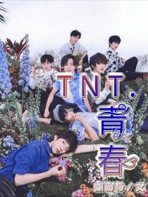 小说《TNT，青春》TXT下载_TNT，青春