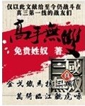 小说《高手无双》TXT百度云_高手无双