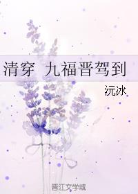 清穿之九福晋驾到完结_清穿九福晋驾到