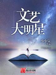 文艺大明星无错版_文艺大明星