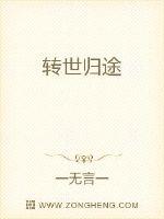 男主女主是叶峰,朱毅,叶灵的小说是什么_转世归途