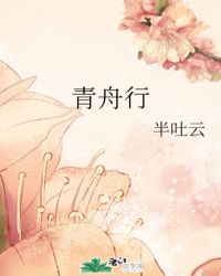 男主女主是赵宜芳,李素月,沙海的小说是什么_青舟行