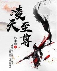 男主女主是叶风,萧腾,曲林音的小说是什么_凌天至尊