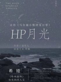 小说《HP月光》TXT百度云_HP月光
