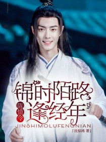 蓝锦年字锦年《陈情令：锦时陌路逢经年》_陈情令：锦时陌路逢经年