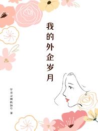 男主女主是吴鑫,赵得贤,王敏的小说是什么_我的外企岁月